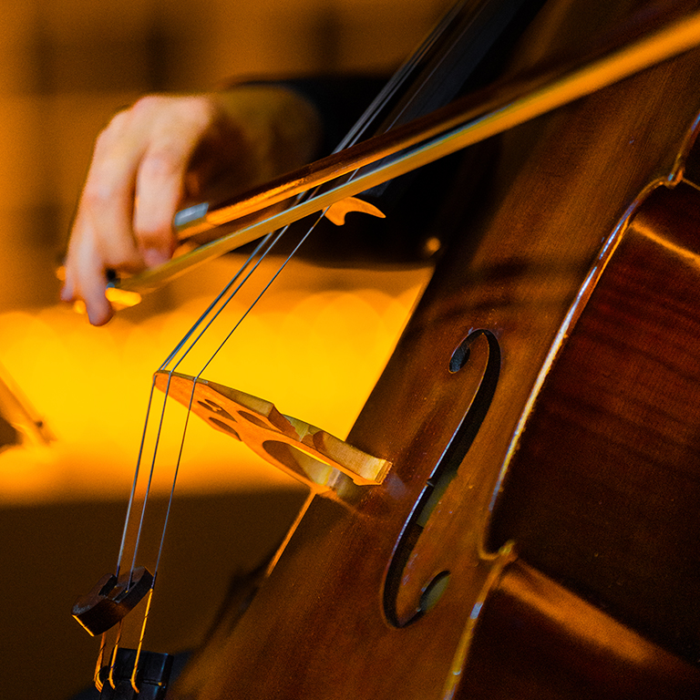 Candlelight Las Cuatro Estaciones de Vivaldi