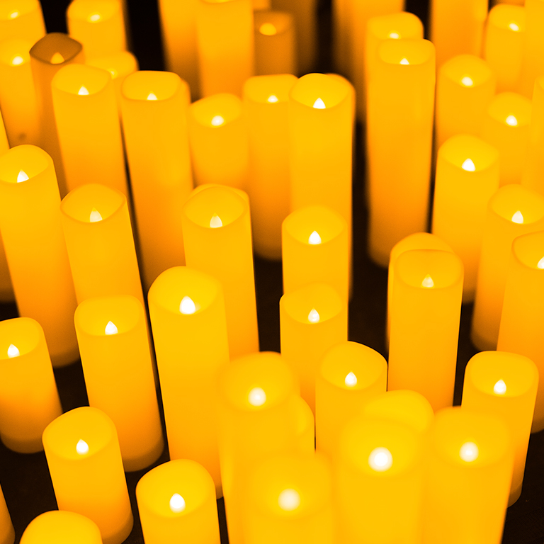 Candlelight Las Cuatro Estaciones de Vivaldi